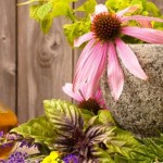 Phytoceutical Ingredients
